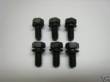 Crank Pulley Bolt Pkg.